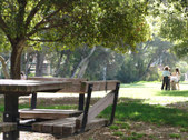 Enlarge photo 59