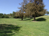 Enlarge photo 1