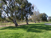 ZELZAH PARK