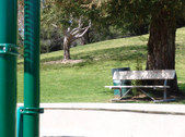 Enlarge photo 32
