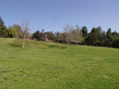 Enlarge photo 33