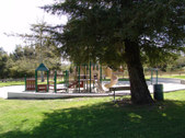 Enlarge photo 35