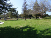 Enlarge photo 36