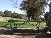Enlarge photo 45