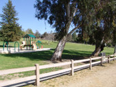 Enlarge photo 51
