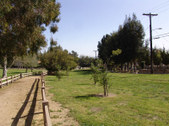 Enlarge photo 52