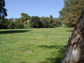 Enlarge photo 53