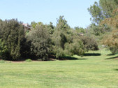 Enlarge photo 54