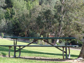 Enlarge photo 56