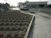 Enlarge photo 73