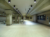 Enlarge photo 171
