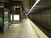 Enlarge photo 177