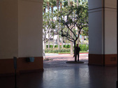 Enlarge photo 82