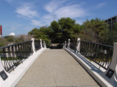 Enlarge photo 46