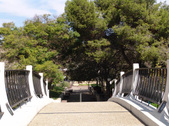 Enlarge photo 47