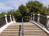 Enlarge photo 52