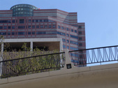Enlarge photo 71