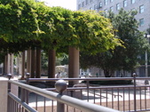 Enlarge photo 32
