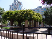 Enlarge photo 36