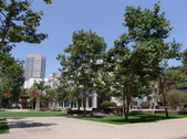Enlarge photo 55