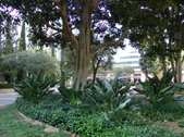 Enlarge photo 48