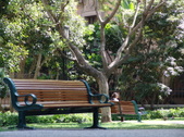 Enlarge photo 53