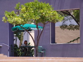 Enlarge photo 28