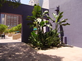 Enlarge photo 31