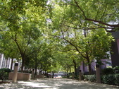 Enlarge photo 36