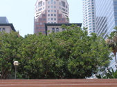 Enlarge photo 66