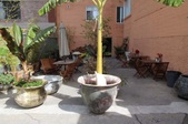 Enlarge photo 37