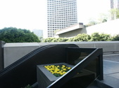 Enlarge photo 38