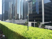 Enlarge photo 31