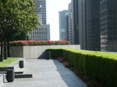 Enlarge photo 41