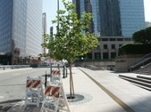 Enlarge photo 75
