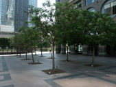 Enlarge photo 97