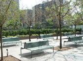 Enlarge photo 113