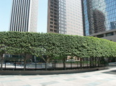 Enlarge photo 118