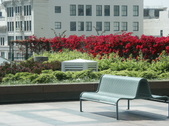 Enlarge photo 127