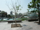 Enlarge photo 172