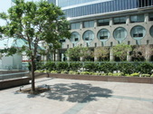 Enlarge photo 173
