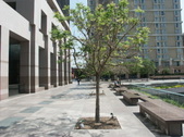 Enlarge photo 181