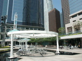 Enlarge photo 226