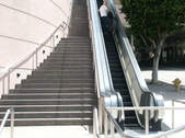 Enlarge photo 313