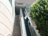 Enlarge photo 314