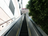 Enlarge photo 320