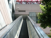 Enlarge photo 321