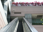 Enlarge photo 322