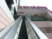 Enlarge photo 323