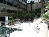 Enlarge photo 81